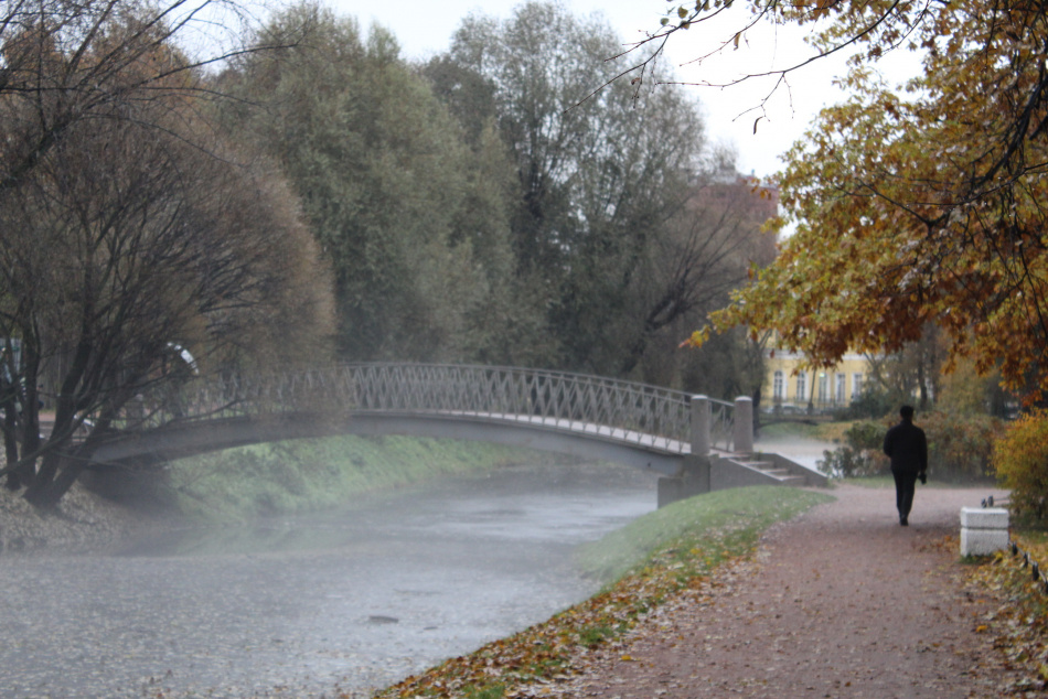 В Петербурге после теплого начала ноября пришли холода